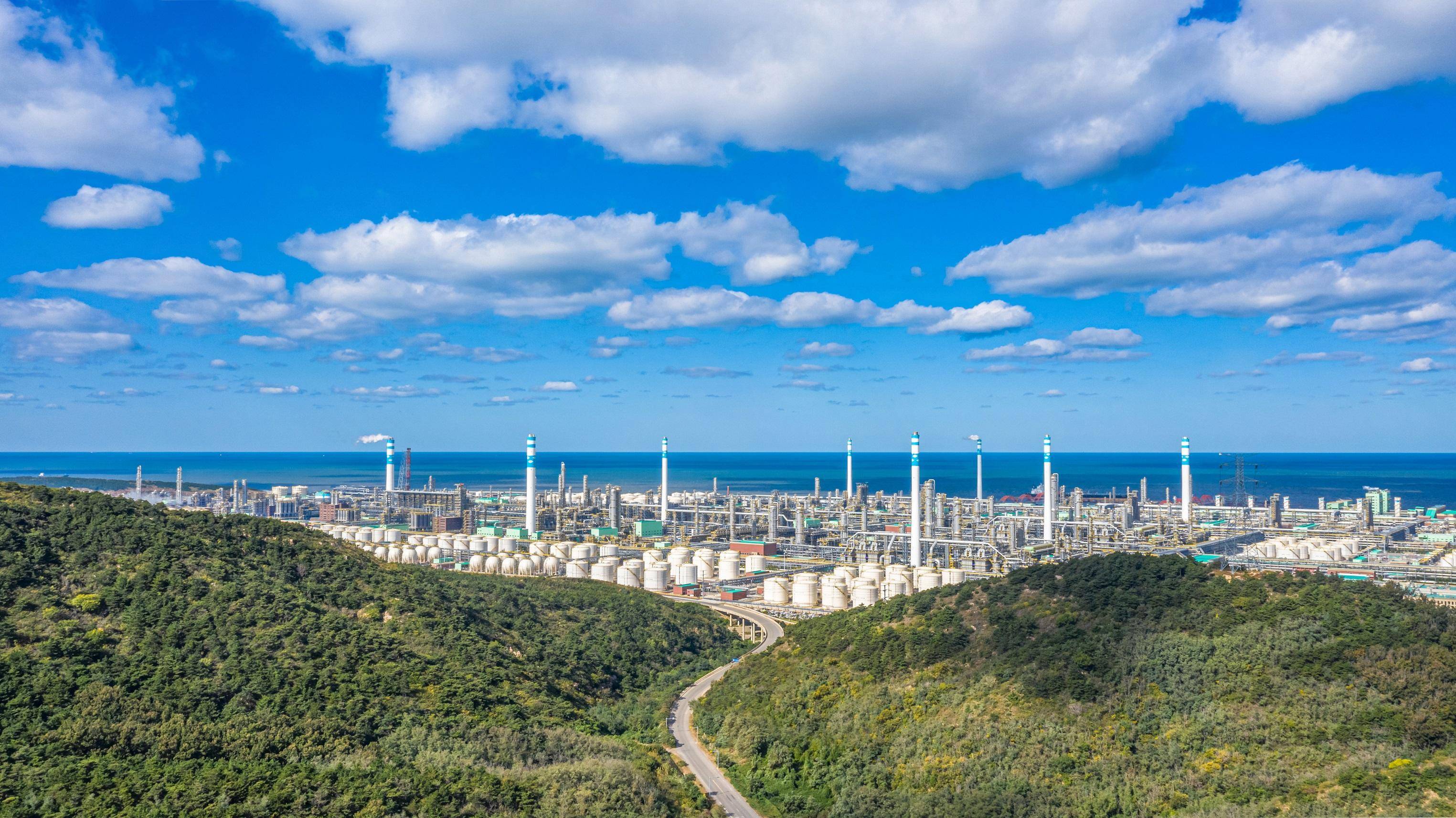 恒力(大連長興島)產業園十年發展成就巡禮之二_煉化_行業_項目
