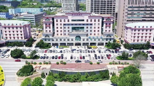 大連這個區(qū) 高 在哪