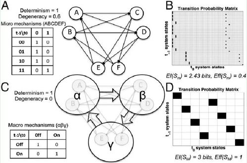 量化因果涌現表明 宏觀可以戰勝微觀